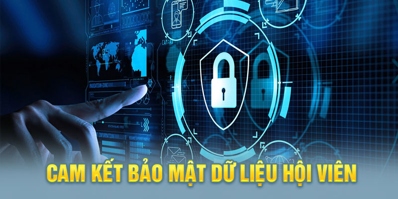 Những Cam Kết Của Okvip Đối Với Quyền Lợi Của Khách Hàng 1 Cam kết của Okvip rạch ròi minh bạch trong việc sử dụng data